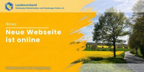 Blog - Neue Webseite