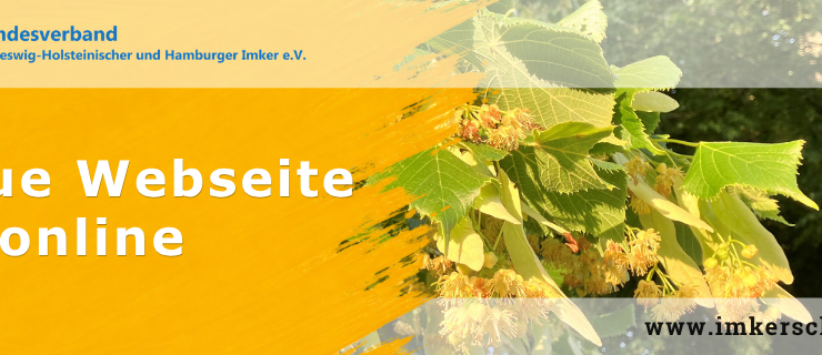 Blog - Neue Webseite veröffentlicht