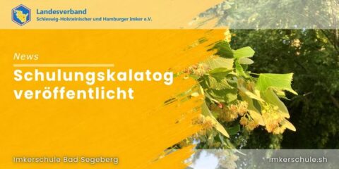 Blog Schulungskatalog 2027